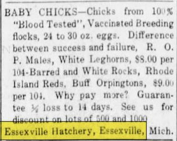 Essexville Hatchery - March 1937 Ad